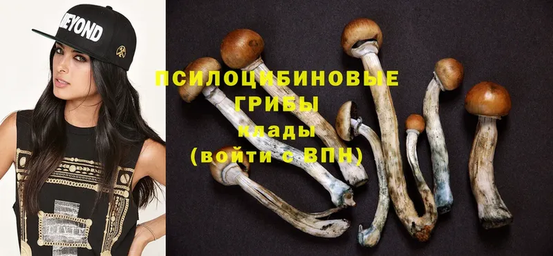 Галлюциногенные грибы Psilocybe  Алупка 